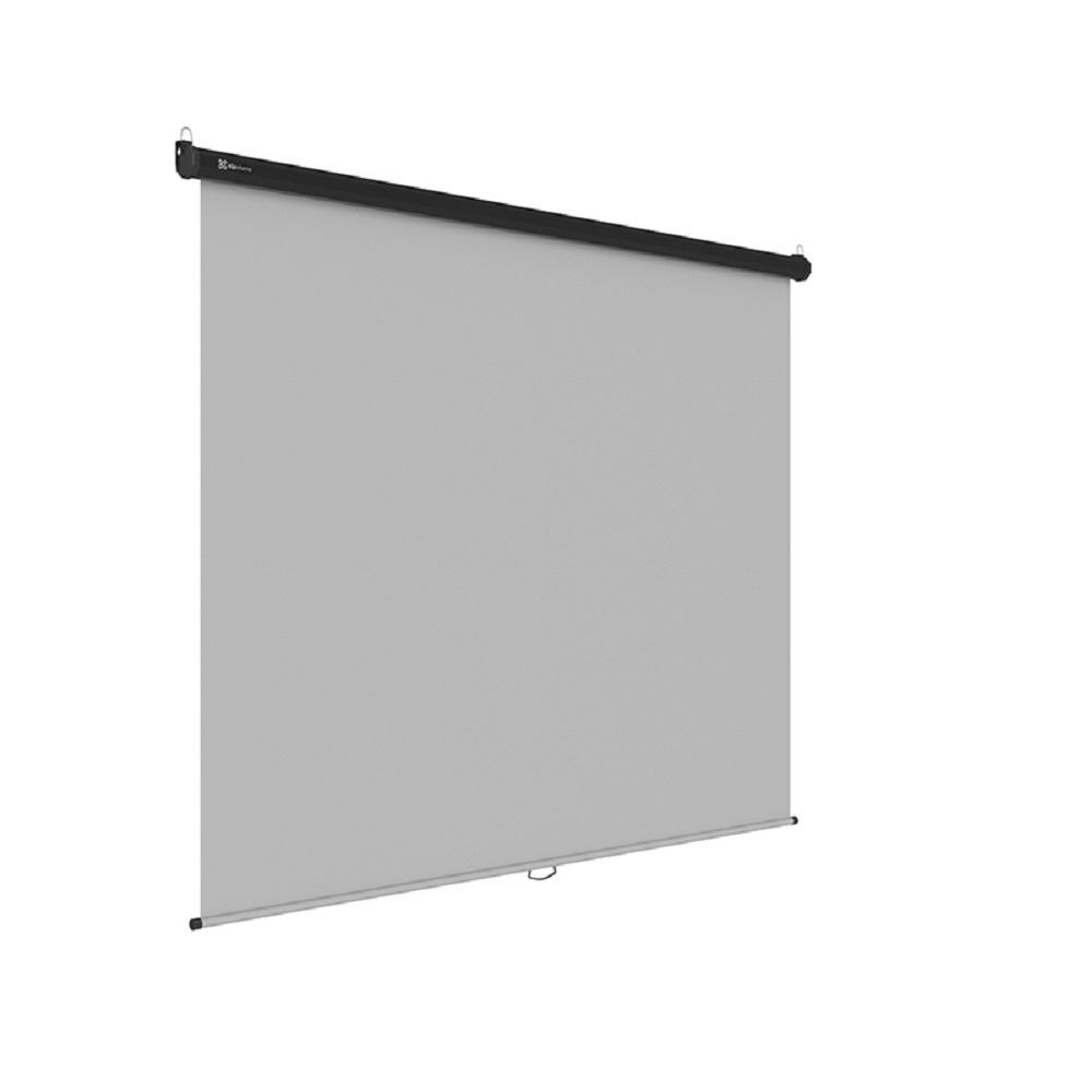 Imagen de KLIP XTREME PANTALLA KPS-313 100