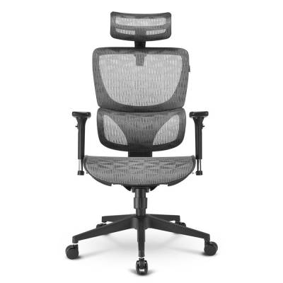 Imagen de SHARKOON SILLA OFFICEPAL C30M 4044951038565
