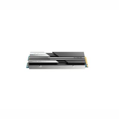 NETAC DISCO SSD M.2 NV5000 500GB (NT01NV5000-500-E4X)