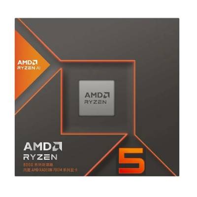 AMD RYZEN 5 8500G AM5