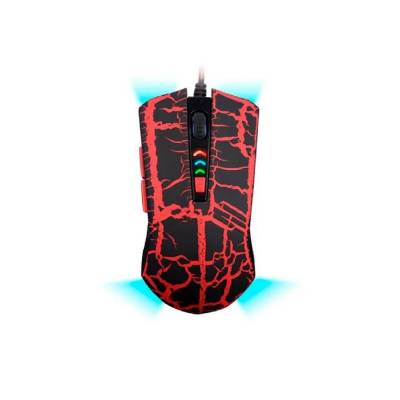 NETMAK TRITON 