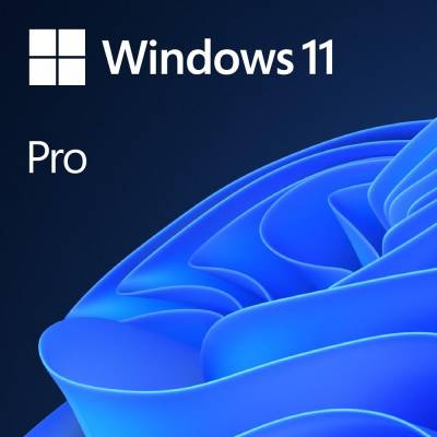 MICROSOFT WINDOWS 11 PRO GGK 64BIT SPANISH 4YR-00341